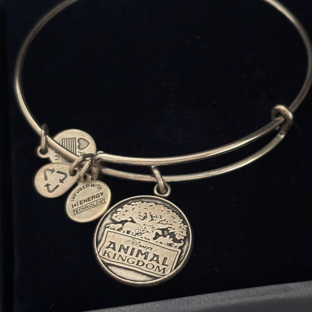 Set of 4 Alex and Ani Disney parks charm bracelets